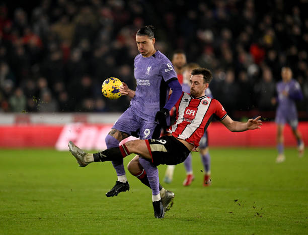 但以此来看 但以此来看