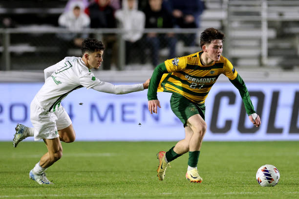 在这篇文章 在这篇文章